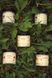 Aromatic candle "Shitymynya", Craft, 100ml.
